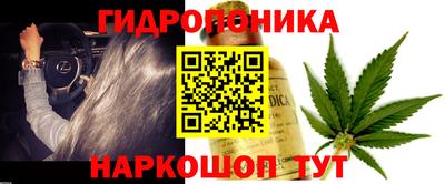apvp Рыбинск
