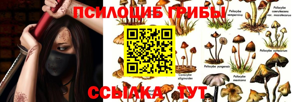 Псилоцибиновые грибы MAGIC MUSHROOMS  Вход с VPN  Галлюциногенные грибы MAGIC MUSHROOMS  Наро-Фоминск 